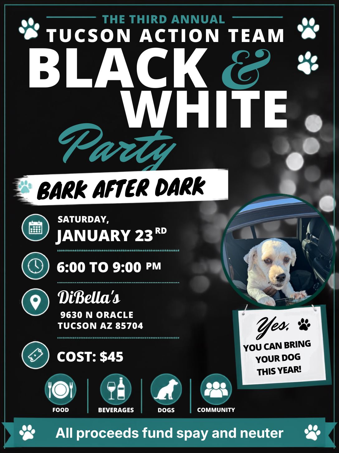 Black and White Party Flier